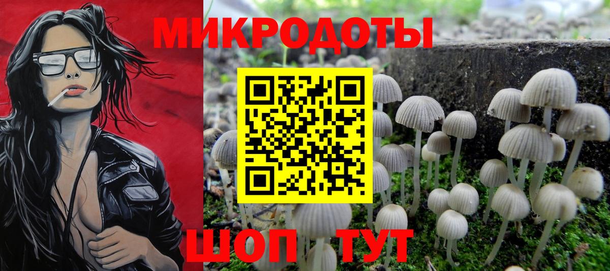 купить наркотик  Псилоцибиновые грибы MAGIC MUSHROOMS  Вход с VPN  Псилоцибиновые грибы мухоморы  Химки 